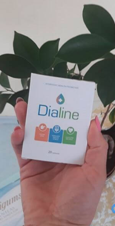 dialine-review