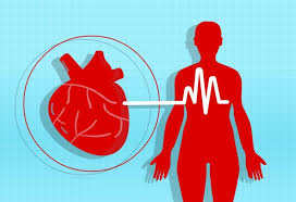 Cardio NRJ - test - forum - preis