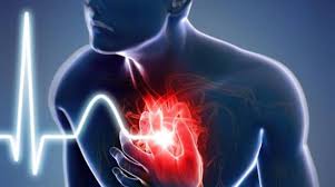 CardioActive – für Bluthochdruck - Aktion – inhaltsstoffe – anwendung