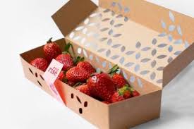 Home Berry Box - Amazon - preis - bestellen