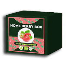 Home Berry Box - hausgemachte Erdbeeren - Bewertung - Kommentatoren - Inhaltsstoffe