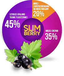 Slimberry kapseln - zum Abnehmen - anwendung - Bewertung - comments