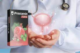 Prostamin Forte - bewertung - test - erfahrungen - Stiftung Warentest