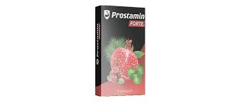 Prostamin Forte - bewertungen - anwendung - erfahrungsberichte - inhaltsstoffe