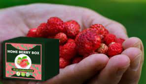 Home Berry Box - ako pouziva - davkovanie - navod na pouzitie - recenzia