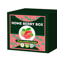 Home Berry Box - forum - výsledky - recenze - diskuze