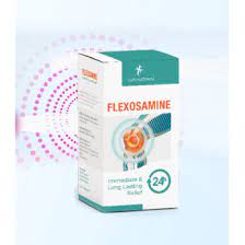 Flexosamine - na heureka - web výrobcu - kde kúpiť - lekaren - dr max