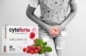 Cyto Forte - cena - opinie - na forum - Kafeteria