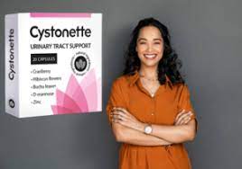 Cystonette - bewertung - test - Stiftung Warentest - erfahrungen