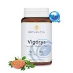 Vigorys - prix - sur Amazon - en pharmacie - site du fabricant - où acheter